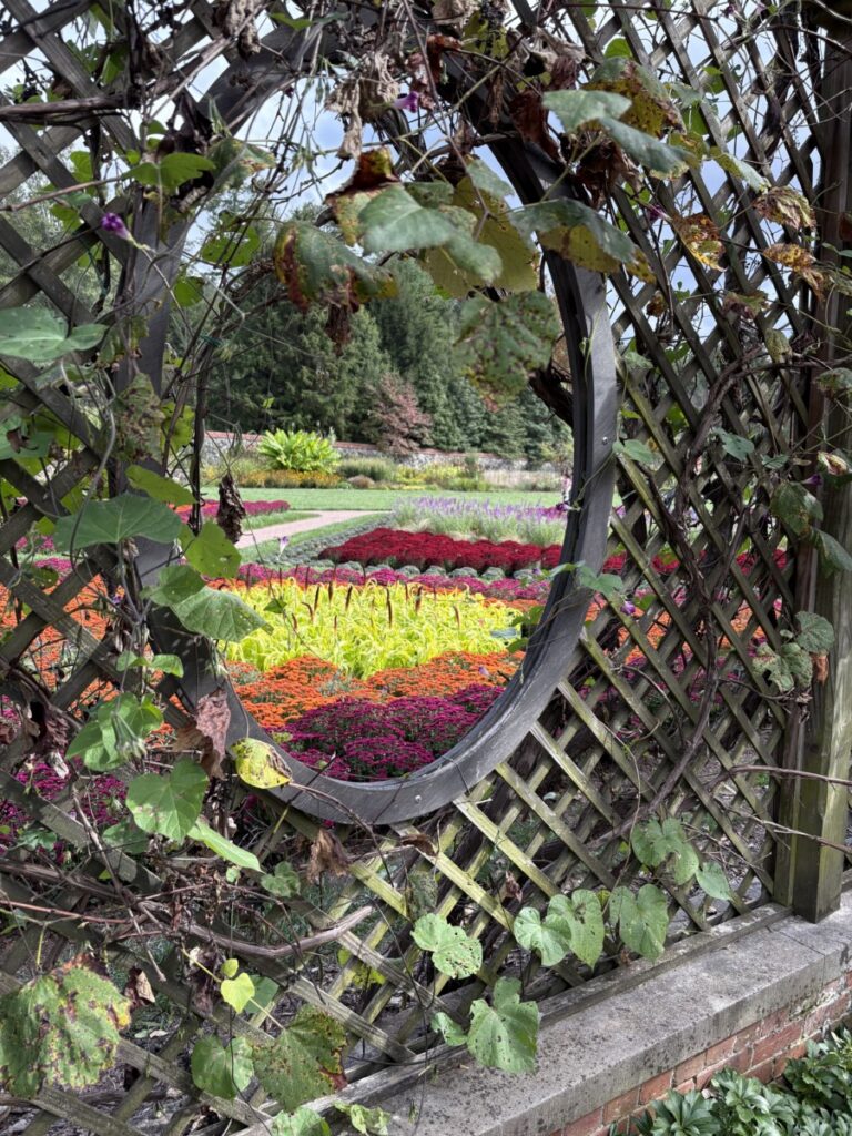 Colorful garden beds framed by a round trellis opening