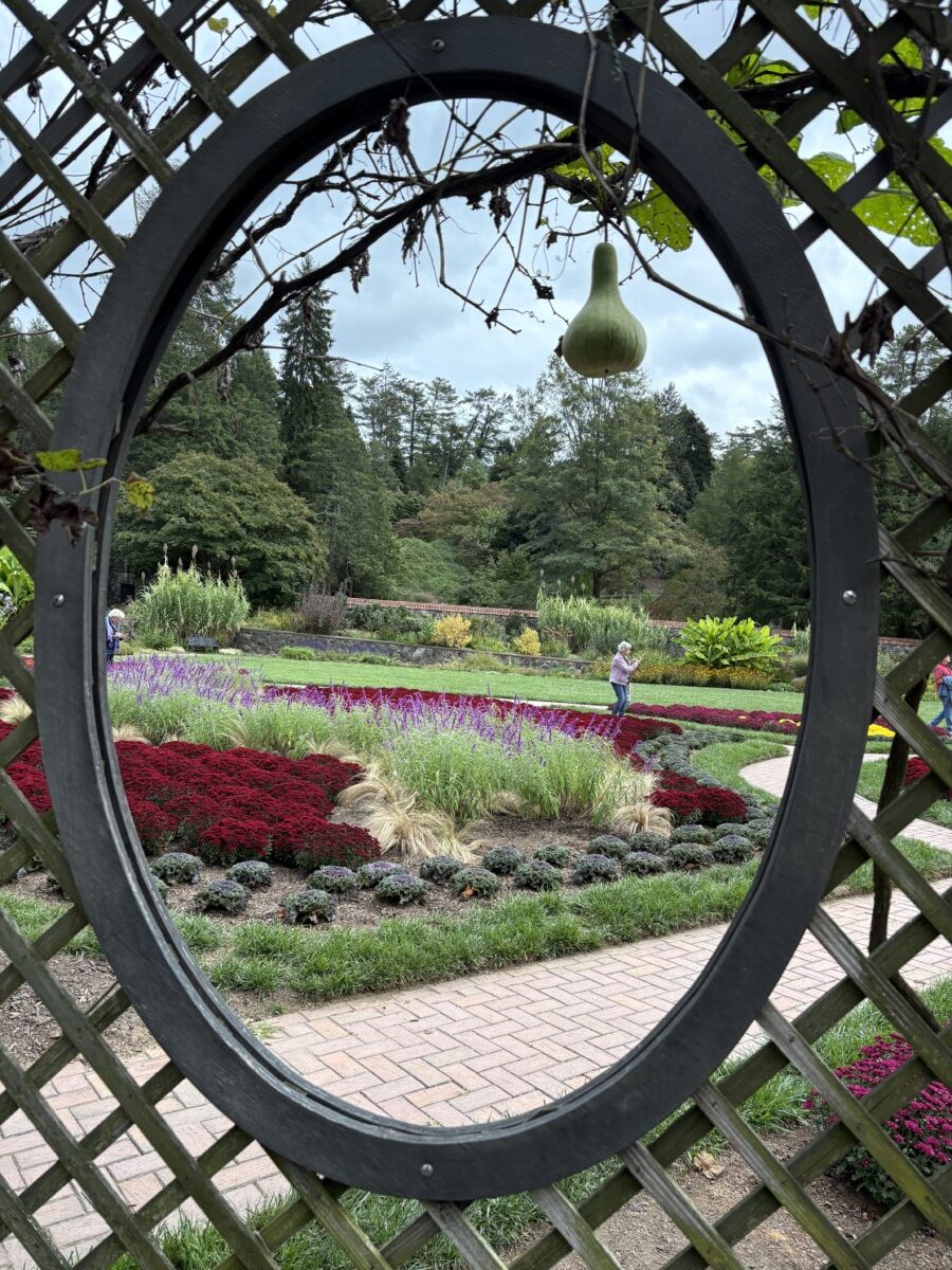 Garden seen through an oval opening in a lattice trellis