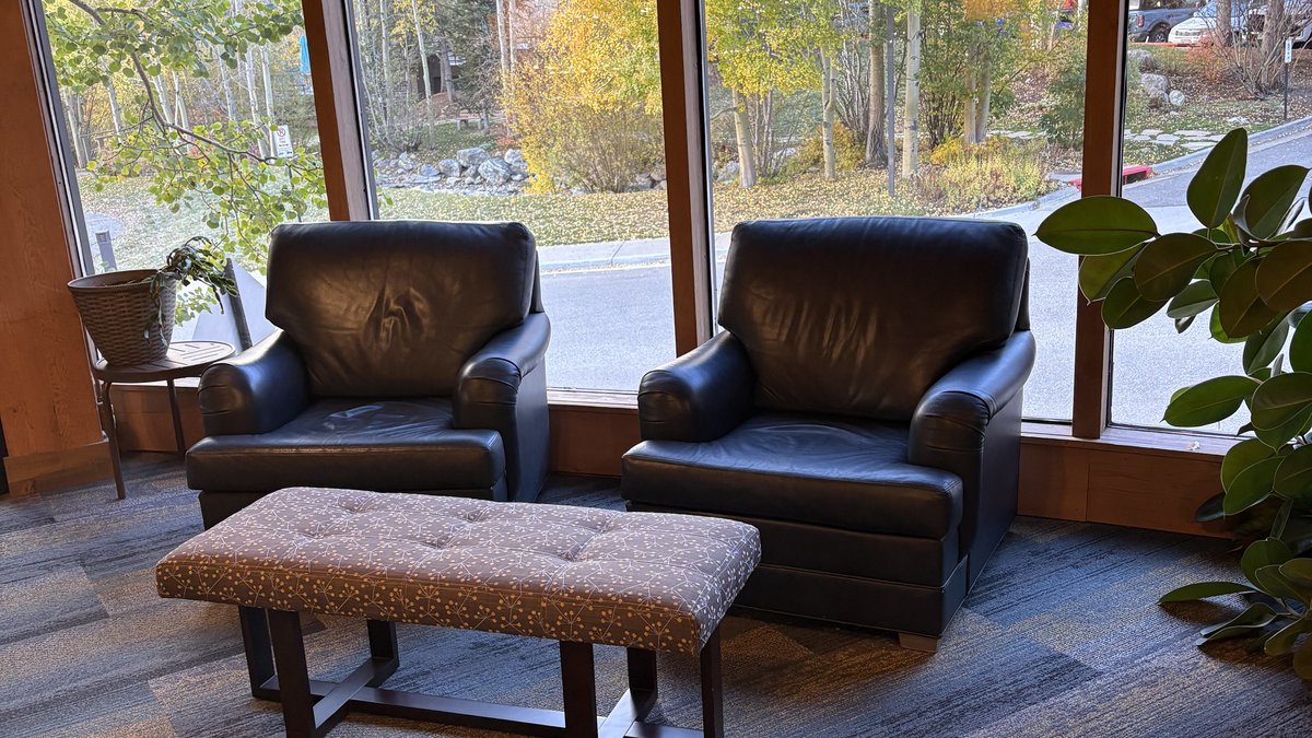 Two armchairs side by side next to a window with autumn trees outside